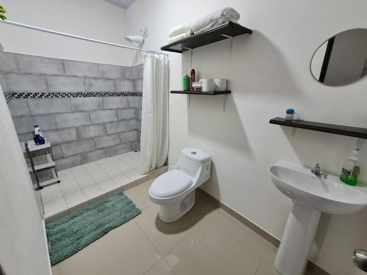 Apartamentos Ave Del Paraiso Alajuela Eksteriør billede